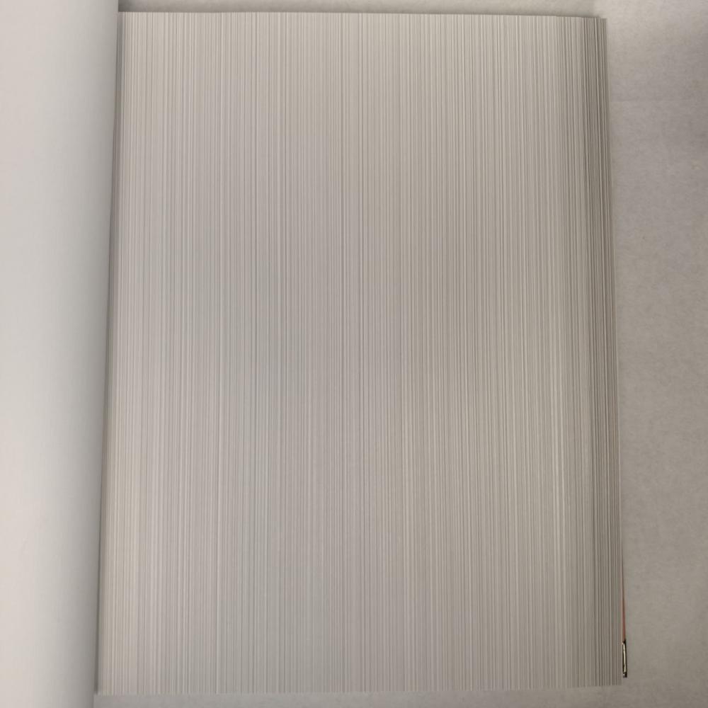 Andrea Rossi Berggi 54447-3