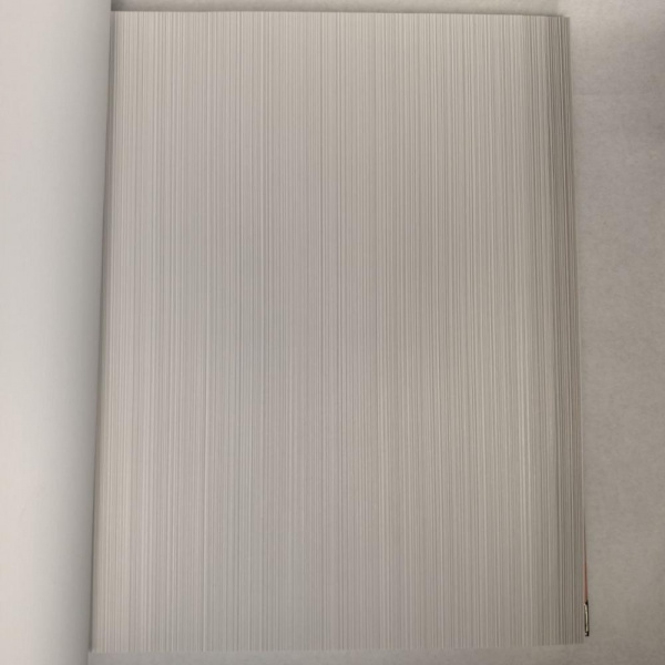 Andrea Rossi Berggi 54447-3