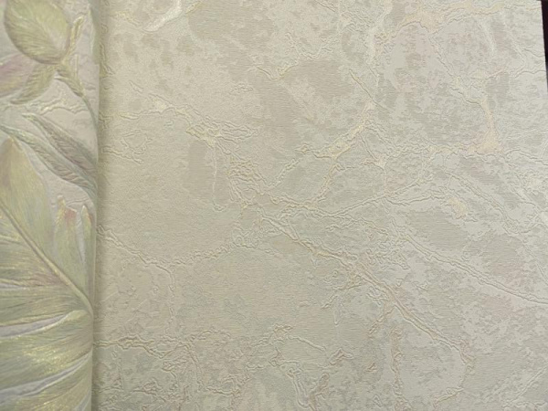 Zambaiti Parati Philipp Plein Z 80016