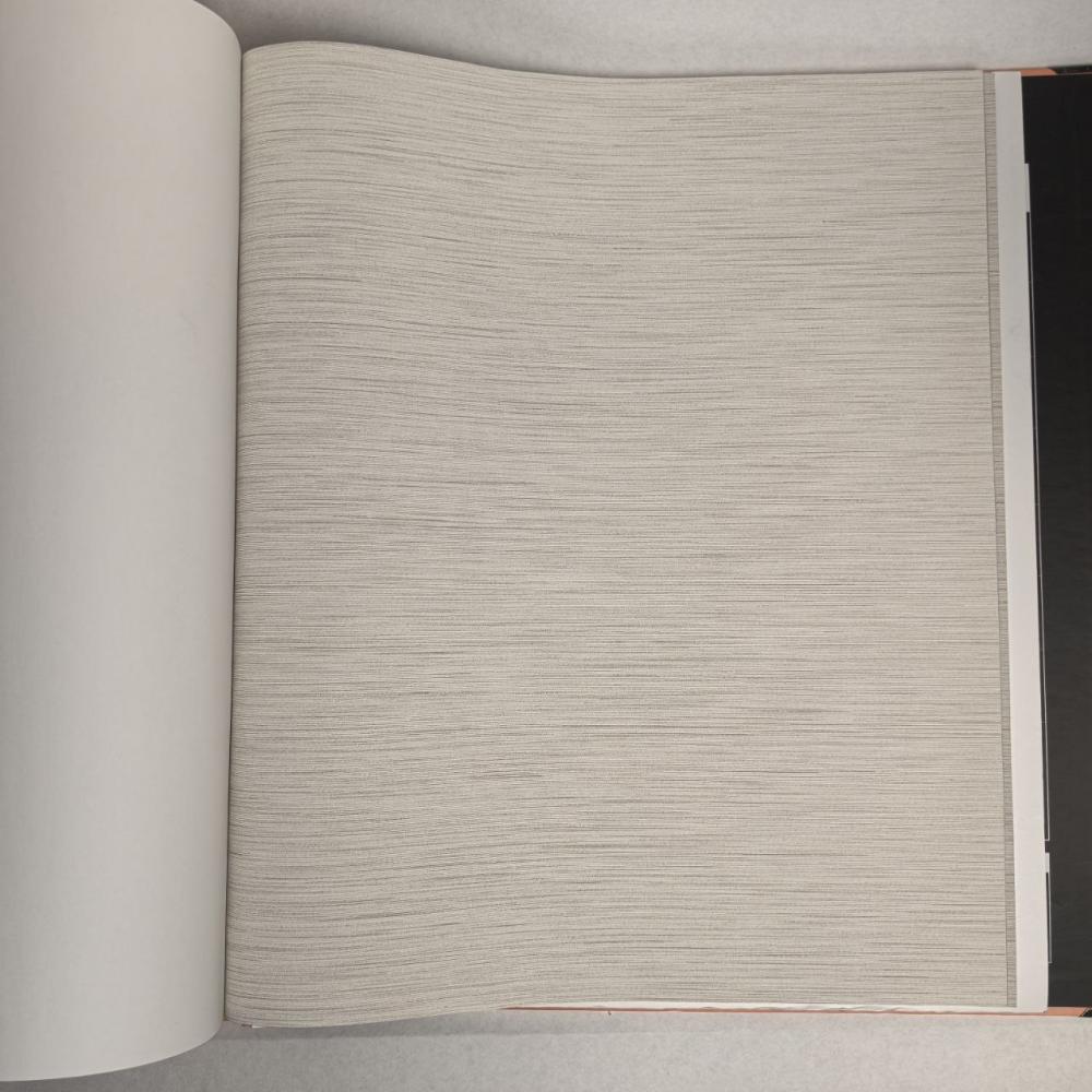 Andrea Rossi Berggi 54438-4