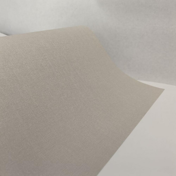 Andrea Rossi Berggi 54452-4