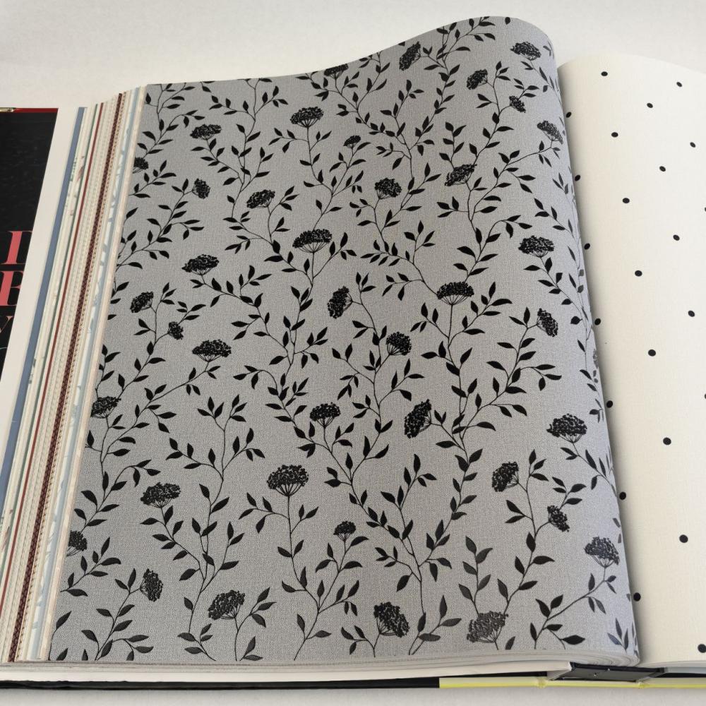 Andrea Rossi Spectrum Box 54456-12